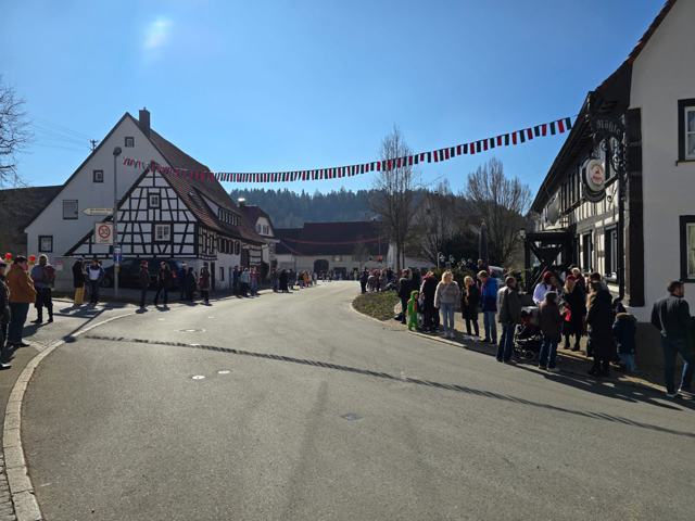 Kinderfasnet 2025 – Foto 8 von 16