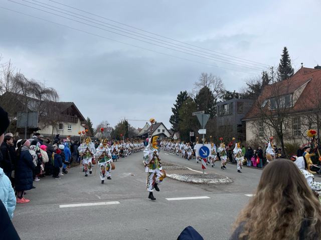 Ringtreffen Aldingen 2025 – Foto 94 von 110