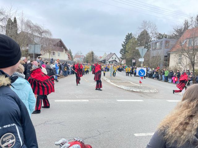 Ringtreffen Aldingen 2025 – Foto 96 von 110